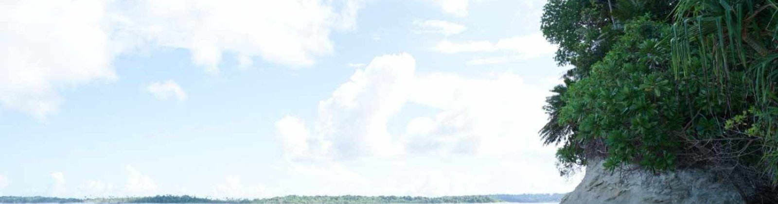 Mentawai, ,Land,For Sale,1005