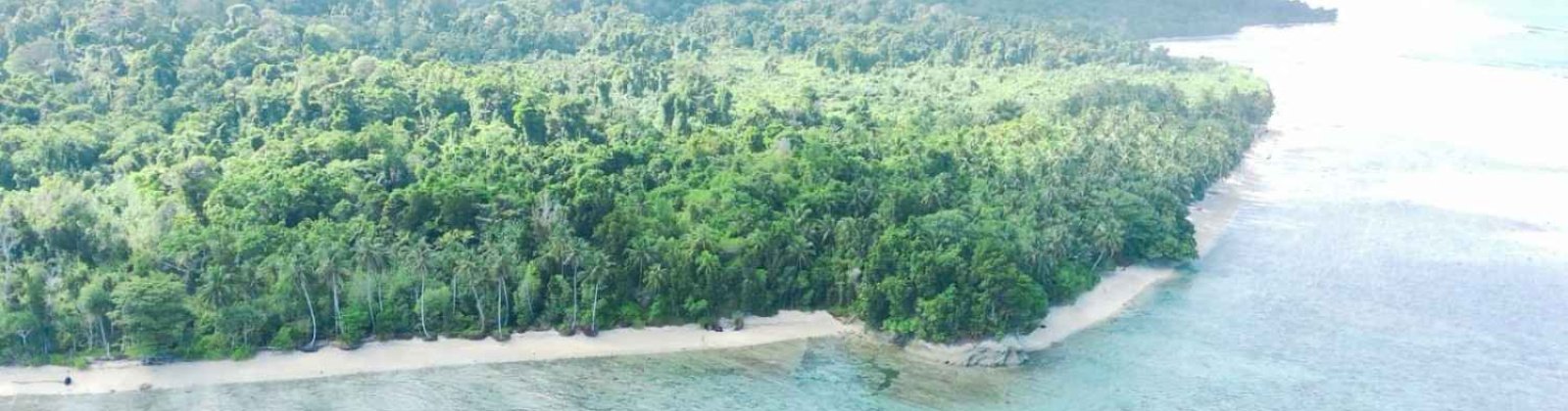 Mentawai, ,Land,For Sale,1005