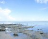 Mentawai, ,Land,For Sale,1005