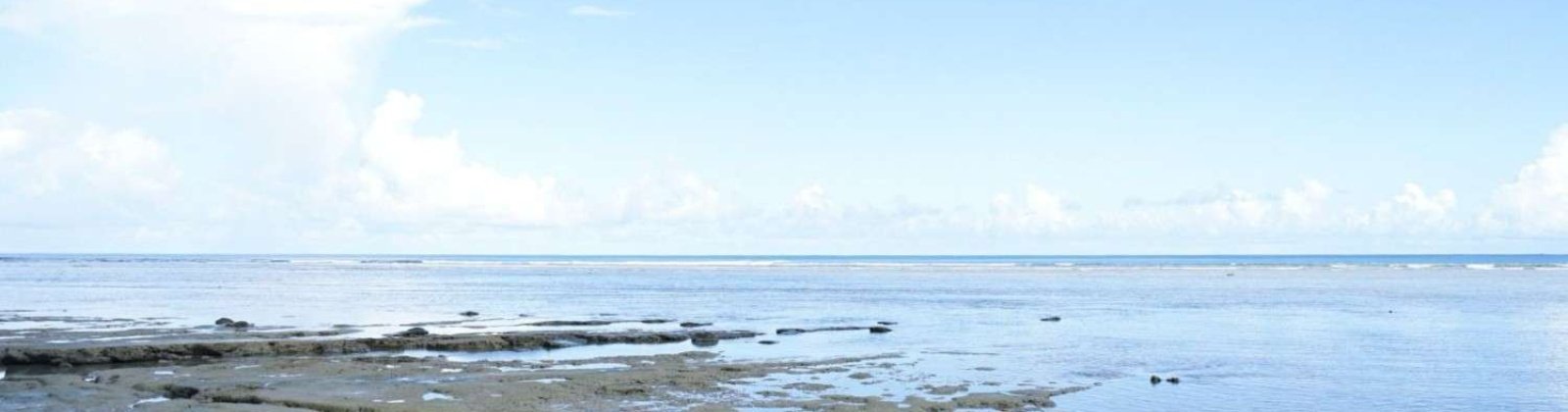 Mentawai, ,Land,For Sale,1005